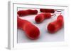 Conceptual Image of Cholerae Bacteria-null-Framed Premium Giclee Print