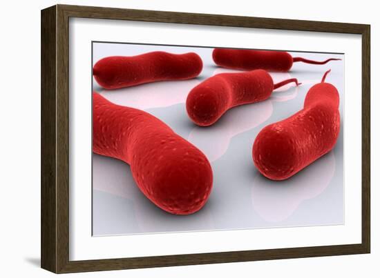 Conceptual Image of Cholerae Bacteria-null-Framed Art Print