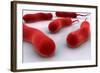 Conceptual Image of Cholerae Bacteria-null-Framed Art Print