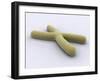 Conceptual Image of Chromosome-null-Framed Art Print