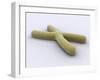 Conceptual Image of Chromosome-null-Framed Art Print