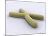 Conceptual Image of Chromosome-null-Mounted Art Print