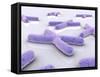 Conceptual Image of Chromosome-null-Framed Stretched Canvas