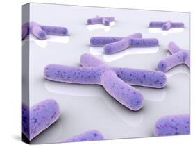 Conceptual Image of Chromosome-null-Stretched Canvas