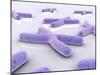 Conceptual Image of Chromosome-null-Mounted Art Print