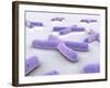 Conceptual Image of Chromosome-null-Framed Art Print