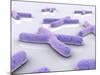 Conceptual Image of Chromosome-null-Mounted Art Print