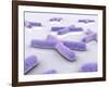 Conceptual Image of Chromosome-null-Framed Art Print