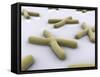 Conceptual Image of Chromosome-null-Framed Stretched Canvas