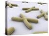 Conceptual Image of Chromosome-null-Stretched Canvas