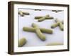 Conceptual Image of Chromosome-null-Framed Art Print