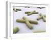 Conceptual Image of Chromosome-null-Framed Art Print