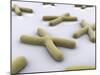 Conceptual Image of Chromosome-null-Mounted Art Print