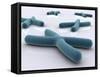 Conceptual Image of Chromosome-null-Framed Stretched Canvas