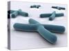 Conceptual Image of Chromosome-null-Stretched Canvas