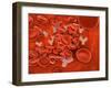 Conceptual Image of Chromosomes Inside the Blood Stream-null-Framed Art Print