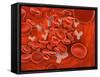 Conceptual Image of Chromosomes Inside the Blood Stream-null-Framed Stretched Canvas