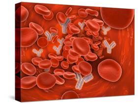 Conceptual Image of Chromosomes Inside the Blood Stream-null-Stretched Canvas