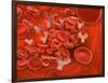 Conceptual Image of Chromosomes Inside the Blood Stream-null-Framed Art Print