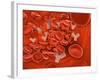 Conceptual Image of Chromosomes Inside the Blood Stream-null-Framed Art Print