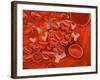 Conceptual Image of Chromosomes Inside the Blood Stream-null-Framed Art Print