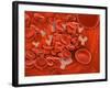 Conceptual Image of Chromosomes Inside the Blood Stream-null-Framed Art Print