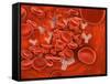 Conceptual Image of Chromosomes Inside the Blood Stream-null-Framed Stretched Canvas