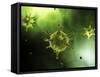 Conceptual Image of Common Virus-Stocktrek Images-Framed Stretched Canvas