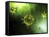 Conceptual Image of Common Virus-Stocktrek Images-Framed Stretched Canvas