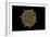 Conceptual Image of Coxsackievirus-null-Framed Premium Giclee Print