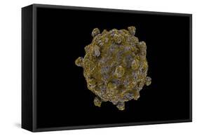 Conceptual Image of Coxsackievirus-null-Framed Stretched Canvas