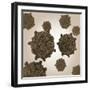 Conceptual Image of Coxsackievirus-null-Framed Art Print