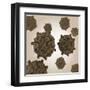 Conceptual Image of Coxsackievirus-null-Framed Art Print