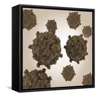 Conceptual Image of Coxsackievirus-null-Framed Stretched Canvas