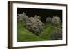 Conceptual Image of Coxsackievirus-null-Framed Premium Giclee Print