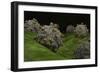 Conceptual Image of Coxsackievirus-null-Framed Premium Giclee Print