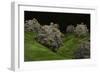 Conceptual Image of Coxsackievirus-null-Framed Premium Giclee Print