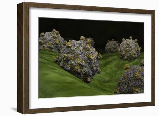 Conceptual Image of Coxsackievirus-null-Framed Art Print