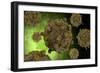 Conceptual Image of Coxsackievirus-null-Framed Art Print