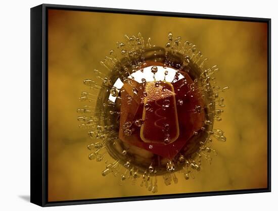 Conceptual Image of Coxsackievirus-null-Framed Stretched Canvas