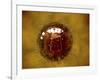 Conceptual Image of Coxsackievirus-null-Framed Art Print