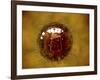 Conceptual Image of Coxsackievirus-null-Framed Art Print