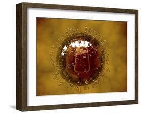 Conceptual Image of Coxsackievirus-null-Framed Art Print