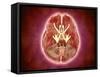 Conceptual Image of Cranial Nerves in Human Brain-null-Framed Stretched Canvas