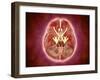 Conceptual Image of Cranial Nerves in Human Brain-null-Framed Art Print