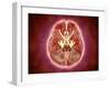 Conceptual Image of Cranial Nerves in Human Brain-null-Framed Art Print