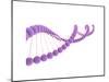 Conceptual Image of Dna-null-Mounted Art Print