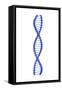 Conceptual Image of Dna-null-Framed Stretched Canvas