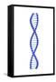 Conceptual Image of Dna-null-Framed Stretched Canvas