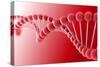 Conceptual Image of Dna-null-Stretched Canvas